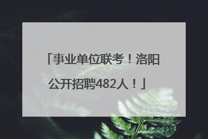事业单位联考！洛阳公开招聘482人！
