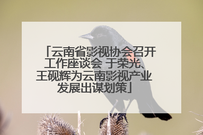 云南省影视协会召开工作座谈会 于荣光、王砚辉为云南影视产业发展出谋划策