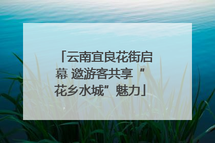 云南宜良花街启幕 邀游客共享“花乡水城”魅力