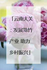 云南大关：发展筇竹产业 助力乡村振兴