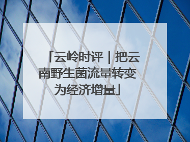 云岭时评｜把云南野生菌流量转变为经济增量