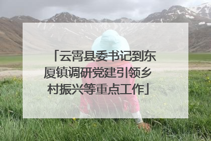 云霄县委书记到东厦镇调研党建引领乡村振兴等重点工作