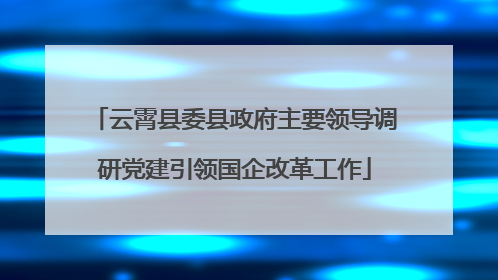 云霄县委县政府主要领导调研党建引领国企改革工作