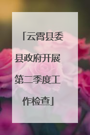 云霄县委县政府开展第二季度工作检查