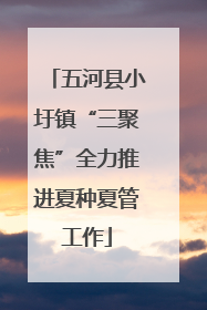 五河县小圩镇“三聚焦”全力推进夏种夏管工作