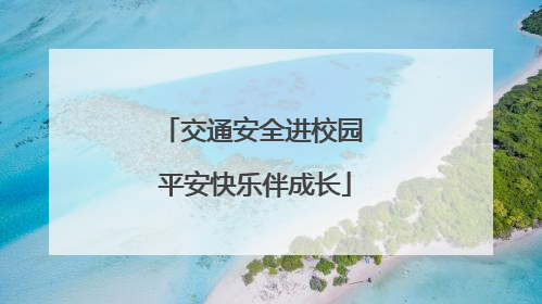 交通安全进校园 平安快乐伴成长