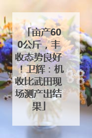 亩产600公斤，丰收态势良好！卫辉：机收比武田现场测产出结果