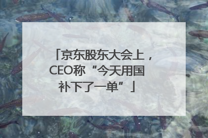 京东股东大会上，CEO称“今天用国补下了一单”