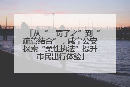 从“一罚了之”到“疏管结合”，咸宁公安探索“柔性执法”提升市民出行体验