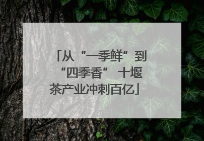 从“一季鲜”到“四季香” 十堰茶产业冲刺百亿