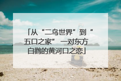 从“二鸟世界”到“五口之家” 一对东方白鹳的黄河口之恋