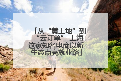 从“黄土地”到“云订单” 上海这家知名电商以新生态点亮就业路