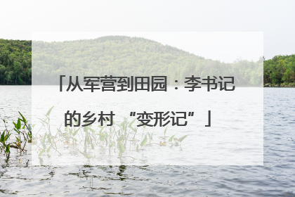 从军营到田园：李书记的乡村 “变形记”
