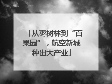 从枣树林到“百果园”，航空新城种出大产业