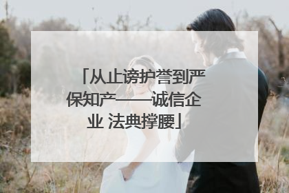 从止谤护誉到严保知产——诚信企业 法典撑腰