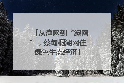 从渔网到“绿网”，蔡甸桐湖网住绿色生态经济