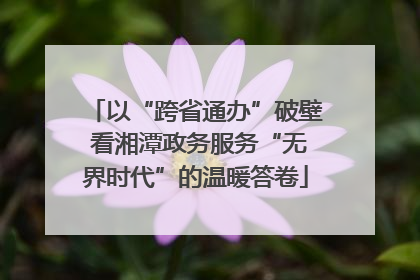 以“跨省通办”破壁 看湘潭政务服务“无界时代”的温暖答卷