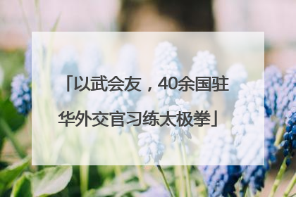 以武会友，40余国驻华外交官习练太极拳