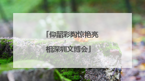 仰韶彩陶惊艳亮相深圳文博会