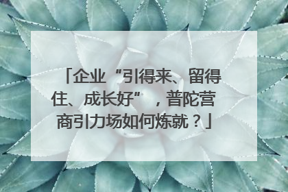 企业“引得来、留得住、成长好”，普陀营商引力场如何炼就？