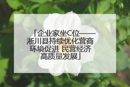 企业家坐C位——淅川县持续优化营商环境促进 民营经济高质量发展