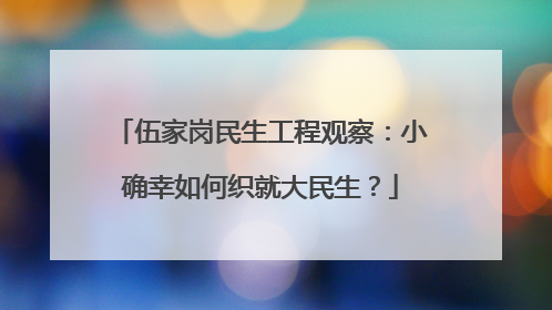 伍家岗民生工程观察：小确幸如何织就大民生？