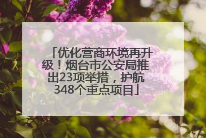优化营商环境再升级！烟台市公安局推出23项举措，护航348个重点项目