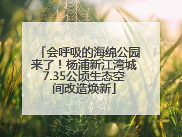 会呼吸的海绵公园来了！杨浦新江湾城7.35公顷生态空间改造焕新