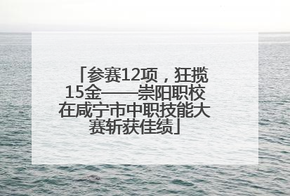 参赛12项，狂揽15金——崇阳职校在咸宁市中职技能大赛斩获佳绩