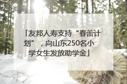 友邦人寿支持“春蕾计划”，向山东250名小学女生发放助学金