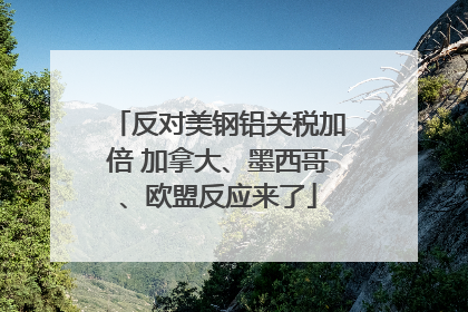 反对美钢铝关税加倍 加拿大、墨西哥、欧盟反应来了