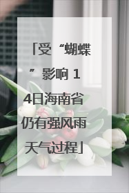 受“蝴蝶”影响 14日海南省仍有强风雨天气过程