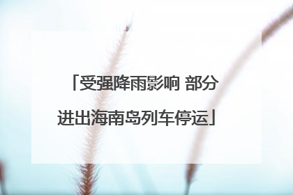 受强降雨影响 部分进出海南岛列车停运