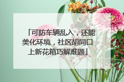 可防车辆乱入，还能美化环境，社区胡同口上新花箱巧解难题