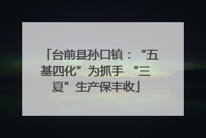 台前县孙口镇：“五基四化”为抓手 “三夏”生产保丰收