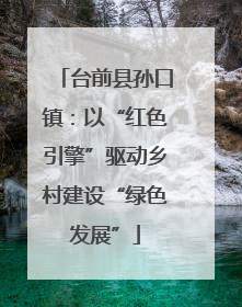 台前县孙口镇：以“红色引擎”驱动乡村建设“绿色发展”