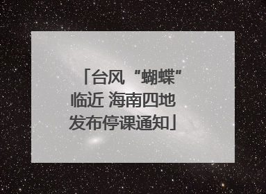台风“蝴蝶”临近 海南四地发布停课通知