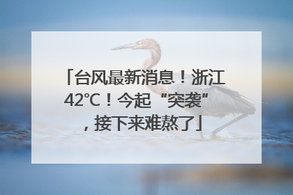台风最新消息！浙江42℃！今起“突袭”，接下来难熬了