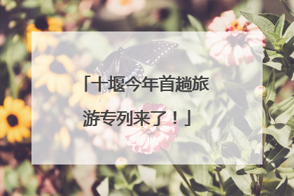 十堰今年首趟旅游专列来了！