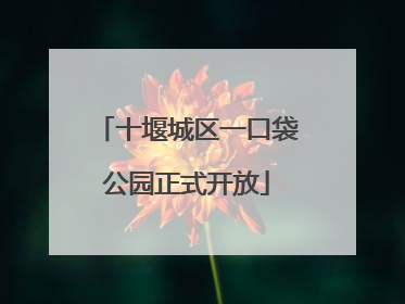 十堰城区一口袋公园正式开放