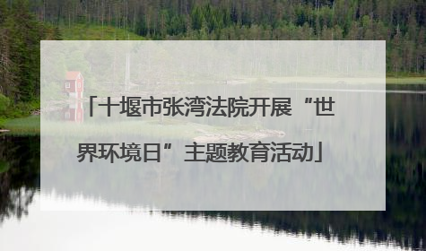 十堰市张湾法院开展“世界环境日”主题教育活动