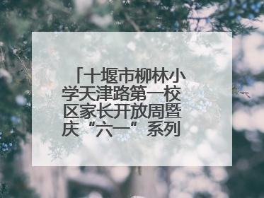 十堰市柳林小学天津路第一校区家长开放周暨庆“六一”系列活动圆满落幕