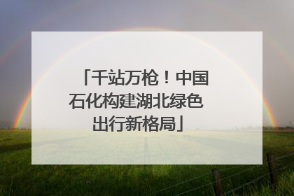 千站万枪！中国石化构建湖北绿色出行新格局