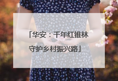 华安：千年红锥林守护乡村振兴路