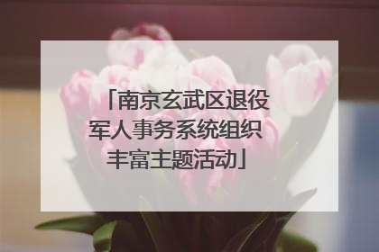 南京玄武区退役军人事务系统组织丰富主题活动