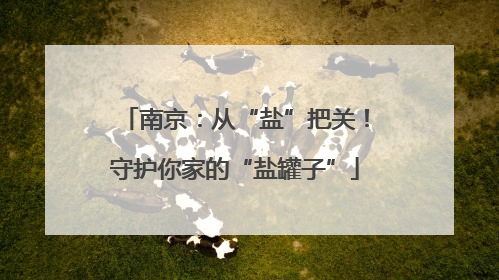 南京：从“盐”把关！守护你家的“盐罐子”