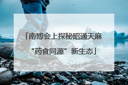 南博会上探秘昭通天麻“药食同源”新生态