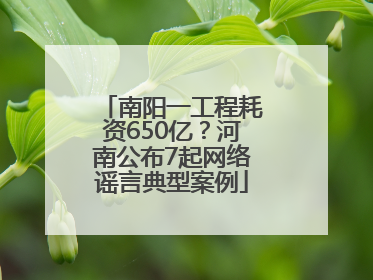 南阳一工程耗资650亿？河南公布7起网络谣言典型案例