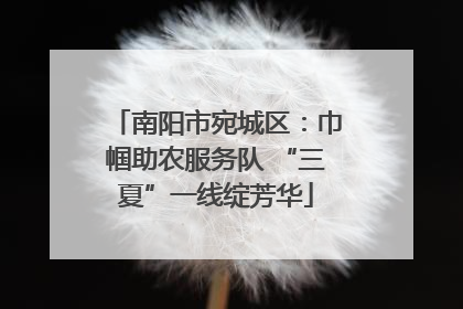 南阳市宛城区：巾帼助农服务队 “三夏”一线绽芳华