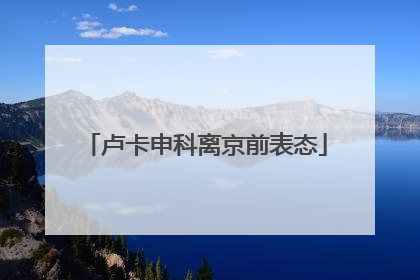 卢卡申科离京前表态